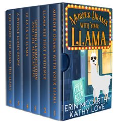 friendship harbor mysteries complete box set (books 1-6) (ebook)-kathy love-erin mccarthy-9798215041758