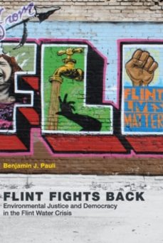 flint fights back-benjamin j. pauli-9780262536868