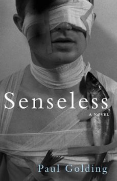 senseless (ebook)-paul golding-9780330542968