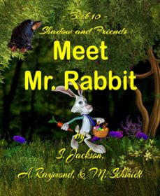Imagen Principal de Shadow and Friends Meet Mr. Rabbit