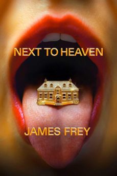 next to heaven (ebook)-james frey-9781800755468