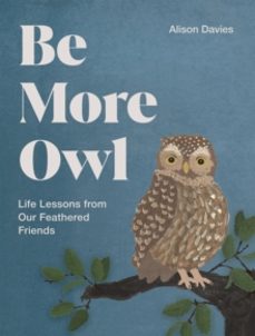 be more owl-alison davies-9781837834068