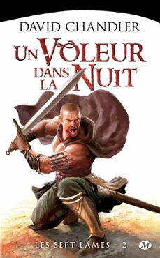 les sept lames, t2 : un voleur dans la nuit (ebook)-david chandler-9782820507068