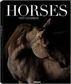 horses-tony stromberg-9783832734268