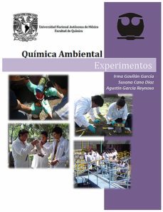 quimica ambiental. experimentos (ebook)-irma gavilan garcia-susana cano diaz-agustin garcia reynoso-9786073059268