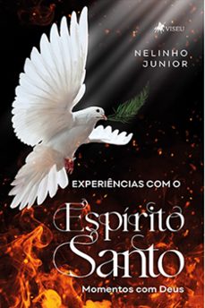 experiencias com o espirito santo (ebook)-nelinho junior-9786525469768