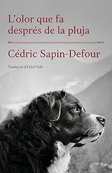 l olor que fa desprès de la pluja-9788417353568
