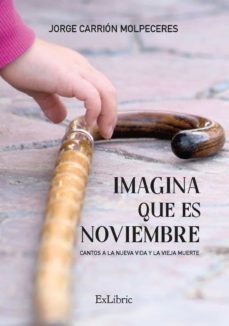 (i.b.d.) imagina que es noviembre-jorge carrion molpeceres-9788418470868