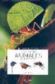 los pequeños animales de las casas-9788431534868