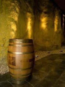 vinos y personajes del duero-9788461362868