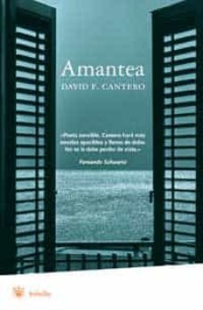 amantea-david f. cantero-9788478715268