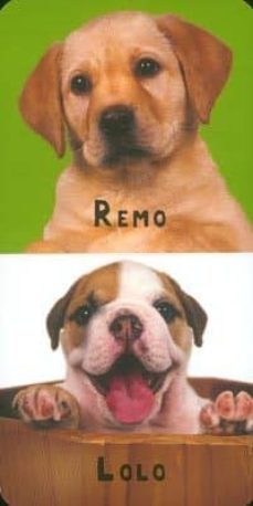 cachorros (sonajero feliz)-9788499136868