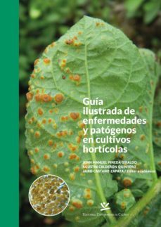guia ilustrada de enfermedades y patogenos en cultivos horticolas (ebook)-juan manuel pineda giraldo-9789587592368