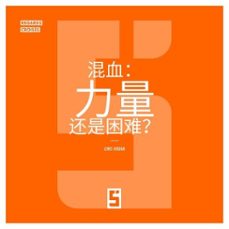 le metissage : une force ou une difficulte ? (version chinois mandarin) (ebook)-léwis verdun-9791043407468