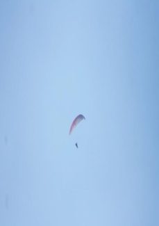 maneja (ebook)-paulo vitor grossi-3410002133878