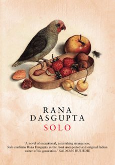 solo (ebook)-rana dasgupta-9780007319978