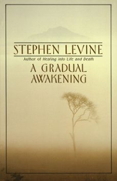 a gradual awakening (ebook)-stephen levine-9780307773678