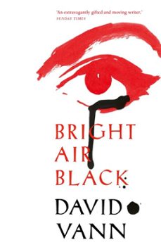 bright air black-david vann-9781473507678