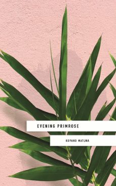 evening primrose: a heart-wrenching novel for our times (ebook)-kopano matlwa-9781473662278