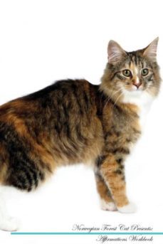 norwegian forest cat affirmations workbook norwegian forest cat presents-9781526972378