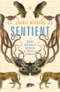 sentient-jackie higgins-9781529030778