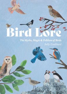 bird lore-9781837833078