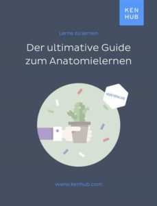 der ultimative guide zum anatomie lernen (ebook)-9783962983178