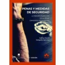 penas y medidas de seguridad: la individualizacion de la pena: eximentes, atenuantes y agravantes-carlos david delgado sancho-9788413590578