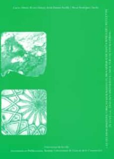 las decoraciones pictoricas murales en el monasterio de santa mar ia de las cuevas de sevilla-carlos alberto rivera gomez-jesus barrios sevilla-9788447209378