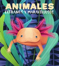 animales extraños y maravillosos-cristina banfi-9788468270678