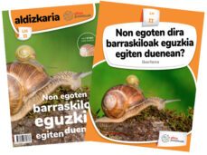 barraskiloak eguzki egunetan-9788483784778