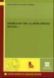 derecho de la seguridad social, i-maria belen fernandez collados-9788484257578
