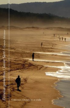 extrañas geometrias-javier sarti-9788494682278