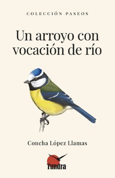 un arroyo con vocacion de rio-9791387759278