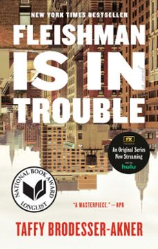 fleishman is in trouble (ebook)-taffy brodesser akner-9780525510888
