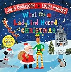 what the ladybird heard at christmas-9781035056088