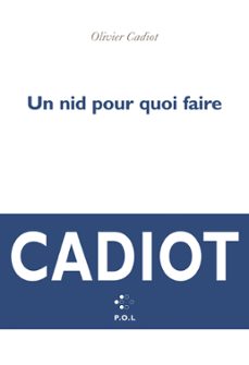 un nid pour quoi faire-olivier cadiot-9782846824088