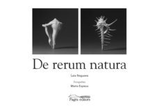 de rerum natura-laia noguera i clofent-9788413031088