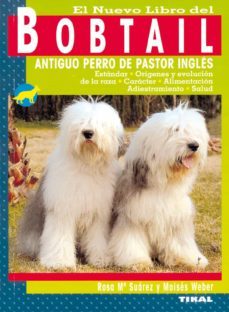 Bobtail (Antiguo Pastor Inglés): carácter, cachorros y precio 