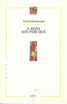 a rosa sen por que-9788482881188