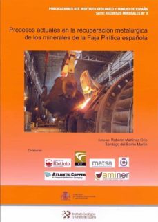 procesos actuales en la recuperacion metalurgica de los minerales de la faja piritica española-9788491380788