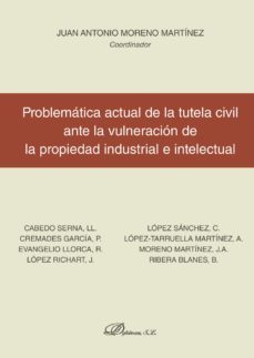 problematica actual de la tutela civil ante la vulneracion de la propiedad industrial-9788491481188
