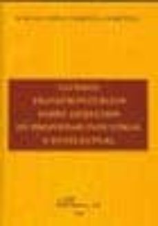 litigios transfronterizos sobre los derechos de propiedad industr ial e intelectual-aurelio lopez tarruella martinez-9788498492088