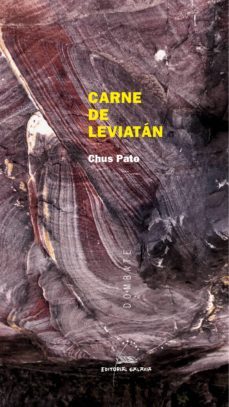 carne de leviatan (ebook)-chus pato-9788498658088