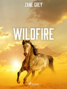 wildfire (ebook)-9788726597288