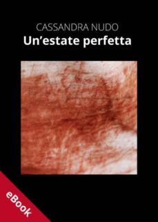 un'estate perfetta (ebook)-9788898017188