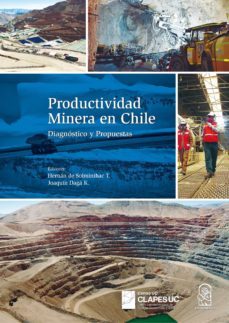 productividad minera en chile (ebook)-9789561422988