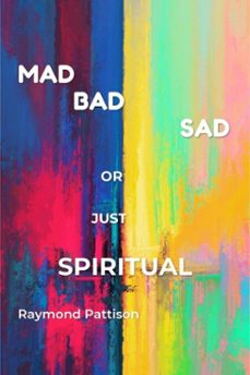 am i mad, bad, sad, or just spiritual? (ebook)-raymond pattison-9798233853388