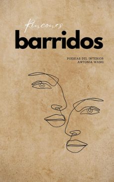 rincones barridos: poesías del interior-antonia wang-9798986045788