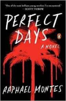 perfect days-raphael montes-9780143129998